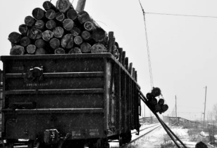 再見了電動絞盤！你是林業工人的好伙伴